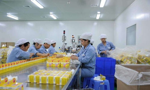 为什么聚氨酯砂浆地坪成为食品厂地面首选工艺